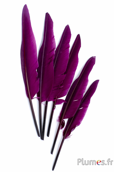 Cygne lame - 28-33 cm - aubergine